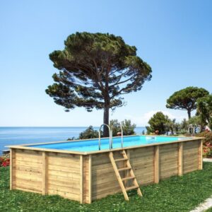 Piscine Bois Rectangulaire 6 m x 3 m